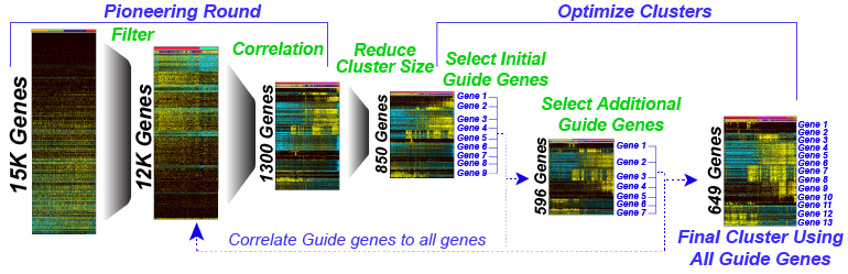 http://altanalyze.org/ICGS.png